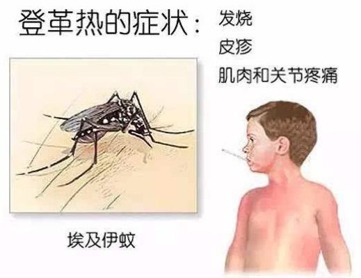 大家齐动手预防登革热